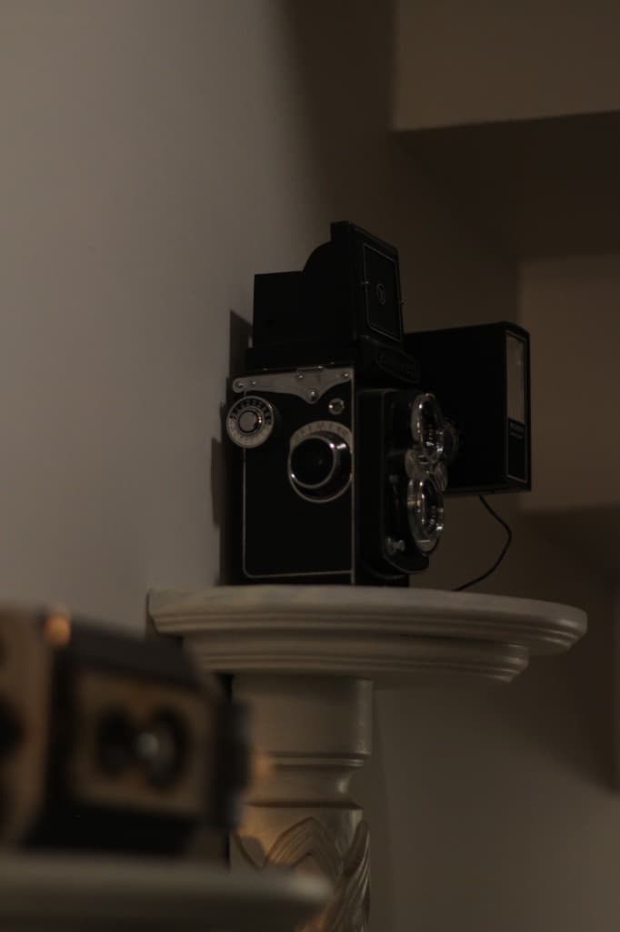 Vintage Camera Collection