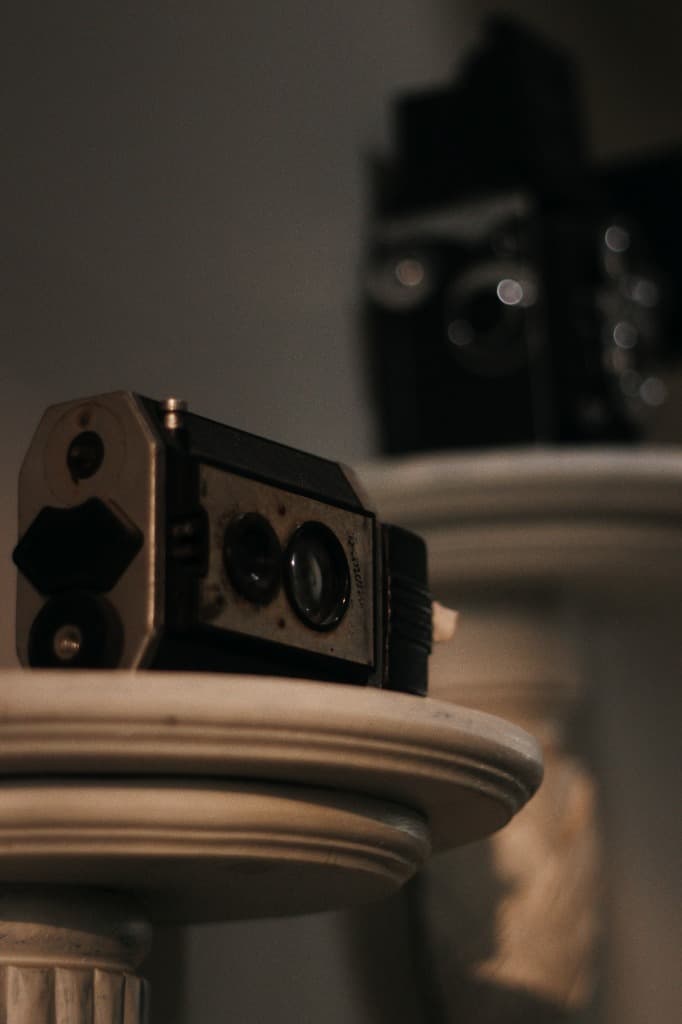Vintage Camera Decor